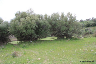 ammena-26-02-2023 13-50-58